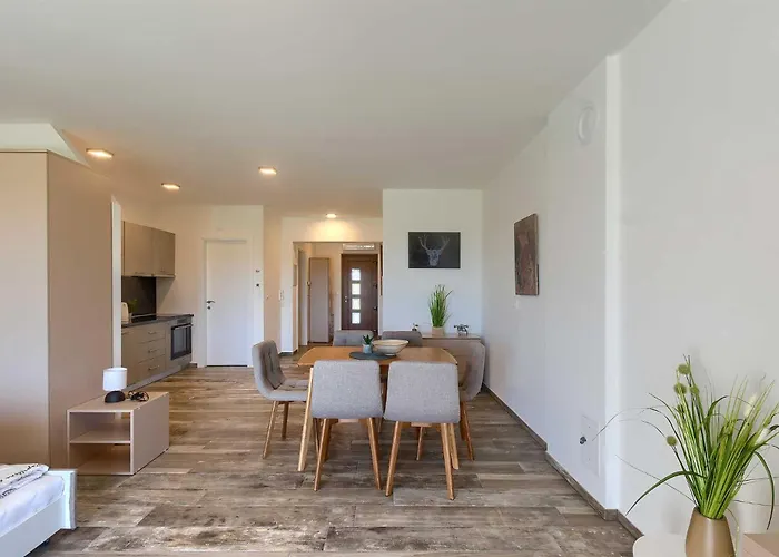 Novigrad By Awaytocroatia Apartamento *
