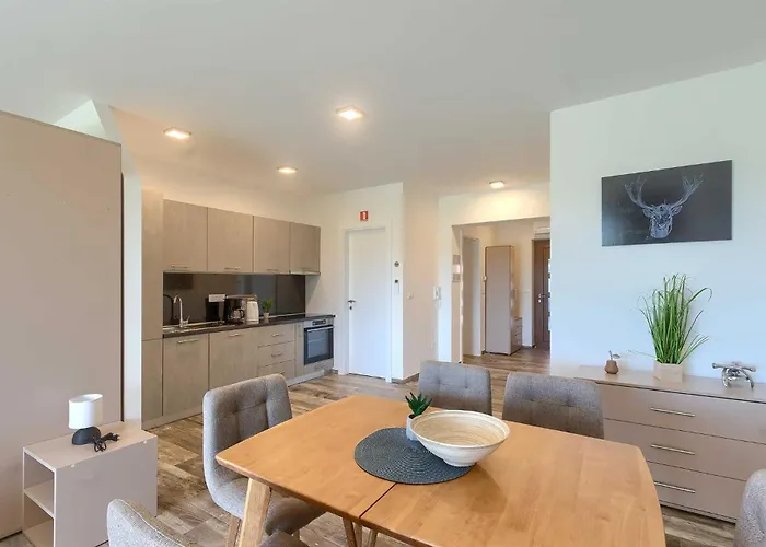 Διαμέρισμα Novigrad By Awaytocroatia