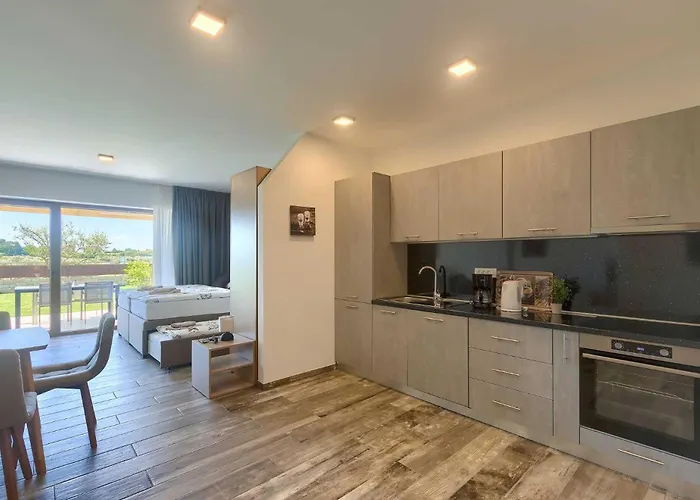 Novigrad By Awaytocroatia Διαμέρισμα